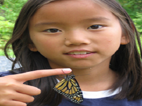 girl holding a butterfly on her finger