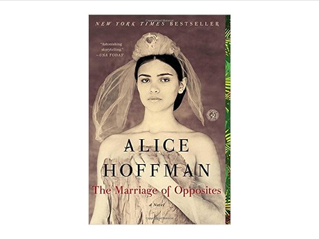 The Marriages of Opposites Cover
