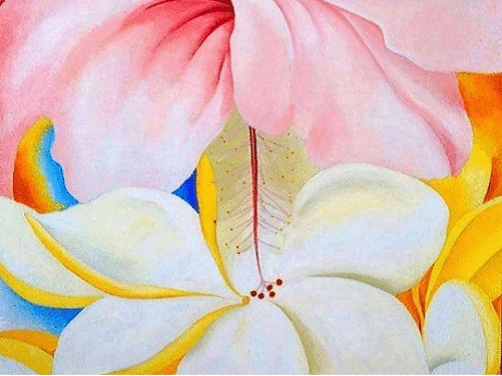 hibiscus_with_plumeria