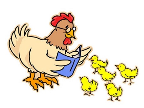 Chicken reading to chicks