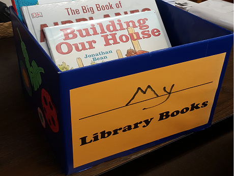 Library book box