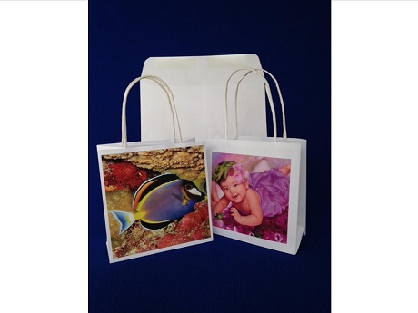 Gift Bag Photo