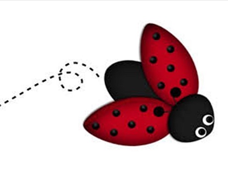 Ladybug clipart