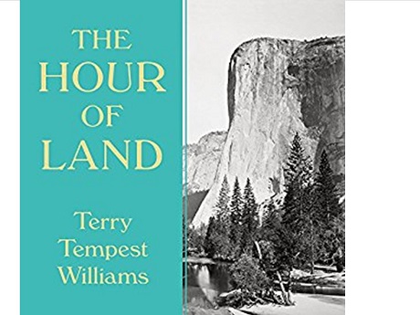 Picture of the book "Hour of Land"