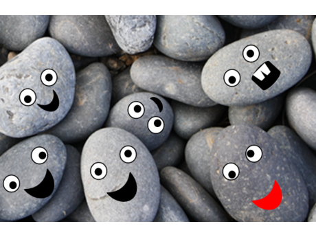 pet rocks