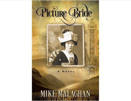 book cover photo of traditional japanese bride