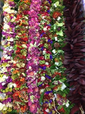 Many strands of leis