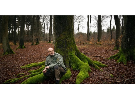 Author Peter Wohllenben sitting by a tree