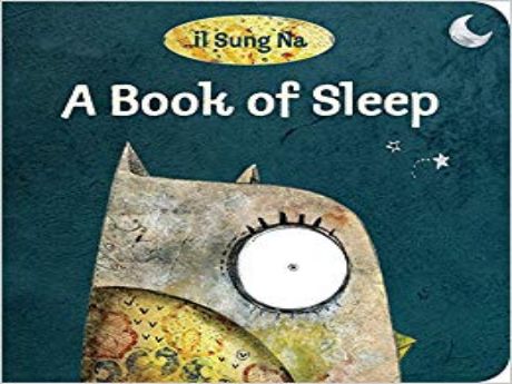 Cover of A Book of Sleep
