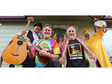 Banana Slug String Band