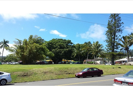 Banyan 1 acre lot in Hawi