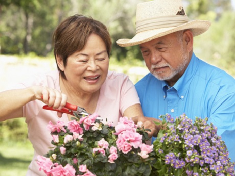 Husband and wife are gardening