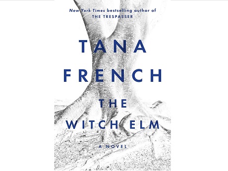 The Witch Elm book cover