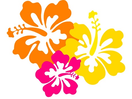 Drawing of orange yellow and pink hibiscus flowers