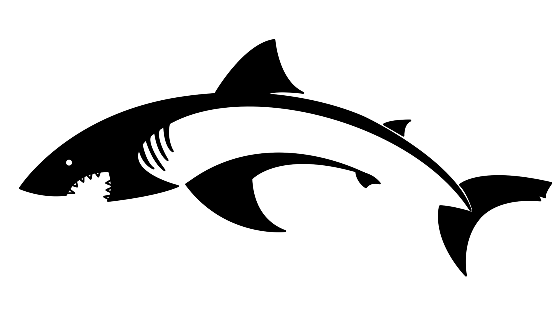 shark computer drawing