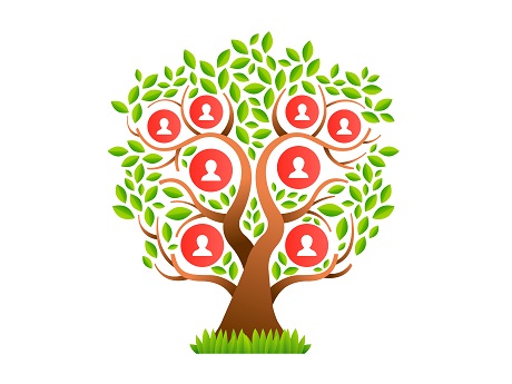 Family history tree illustration