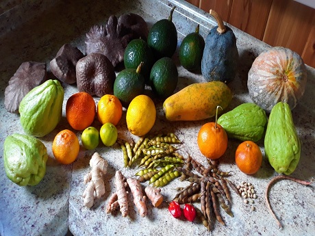 A variety of tropical fruits