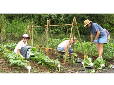 UH Master Gardener Program