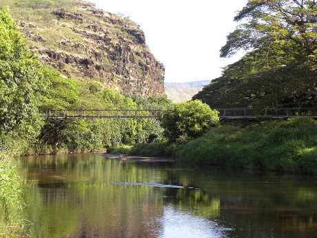 Waimea River