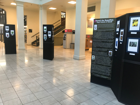 photograph of the plant patent exhibit at Hawaii State Library