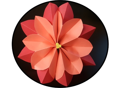 Poinsettia flower using apper