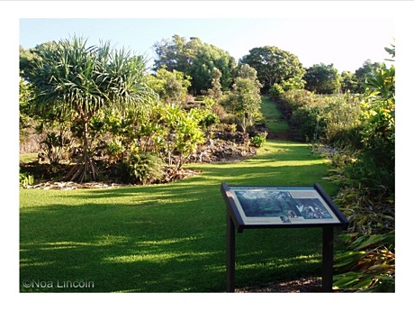 view of Amy Greenwell garden with grass and trees