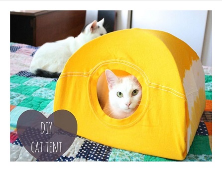 white cat looking out of yellow cat hide