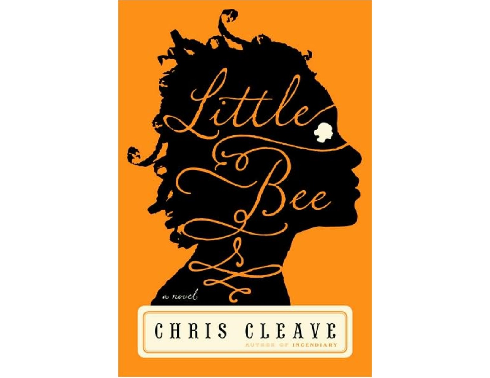 Little Bee book cover