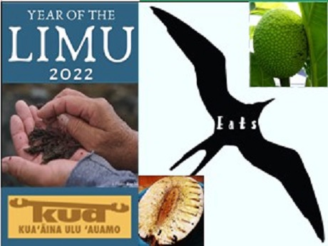 Limu and Ulu collage of images