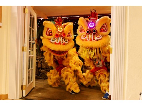 two chinese lions