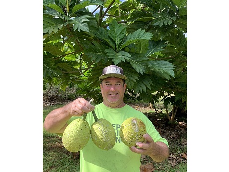 Man holding 3 ulu.