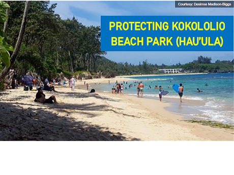 Beachgoers at Kokololio Beach Park