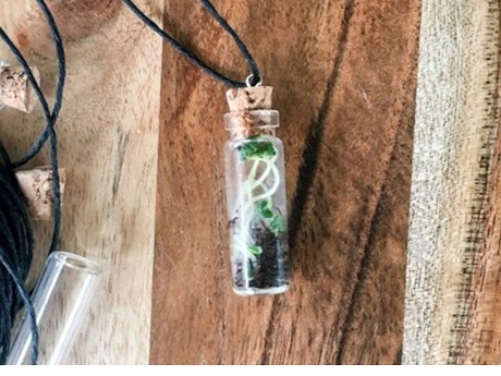 Mini Terrarium Key Chain