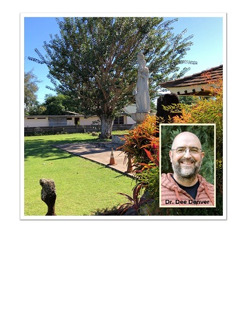 bodhi tree and speaker