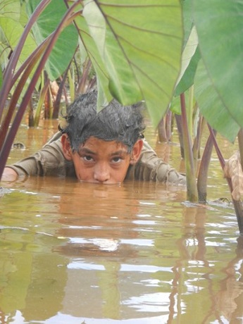 child in taro loi / photo credit adam asquith