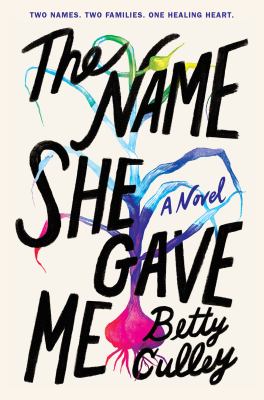The name she gave me book cover