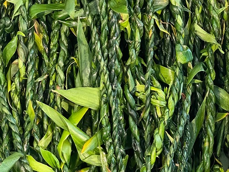 photo of tī leaf lei