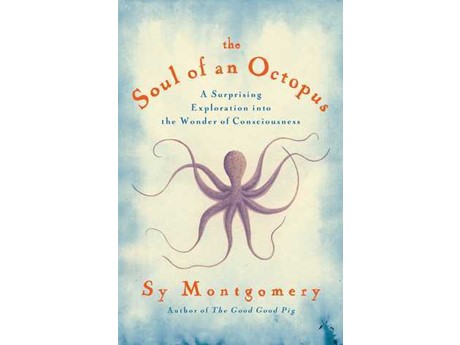 Cover of The Soul of an Octopus by Sy Montgomery