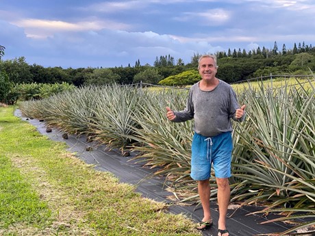 Photo of farmer Ted Bennett in gray long sleeve shirt and blue surf shorts, giving two thumbs up in front of field of pineapples.