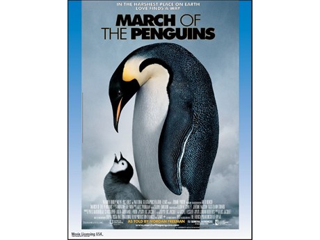 March of the Penguins movie title