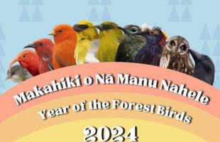 "Year of the Forest Birds" logo