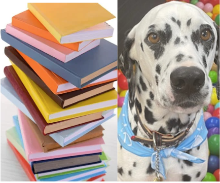 therapy Dalmatian dog named Star next to stack of books
