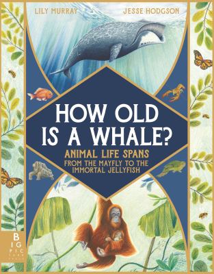 How Old is a Whale? : Animal Life Spans from the Mayfly to the Immortal Jellyfish book cover